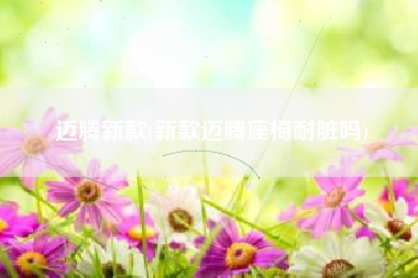 迈腾新款，新款迈腾座椅耐脏吗？