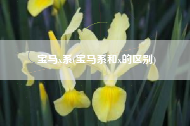 宝马x系，宝马系和x的区别？
